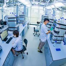 守正出新，正道致遠——從技術開發看勁牌2019社會責任擔當